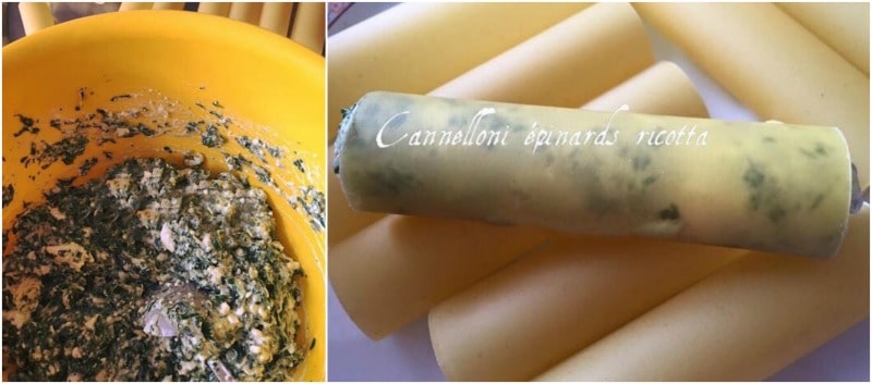 Cannelloni stuffed with ricotta and spinach