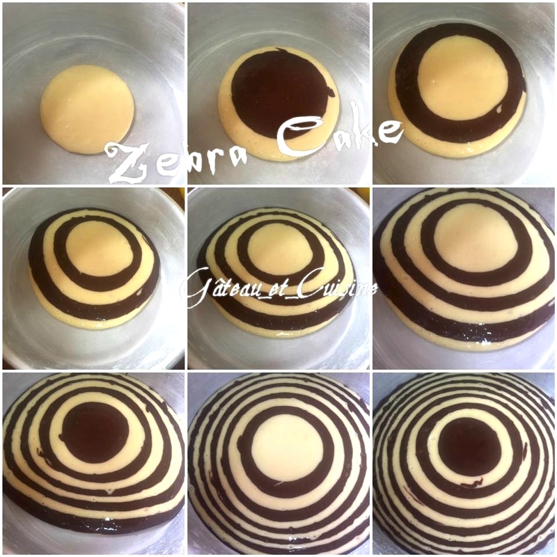 tuto cake zébré,zebra cake marbré chocolat