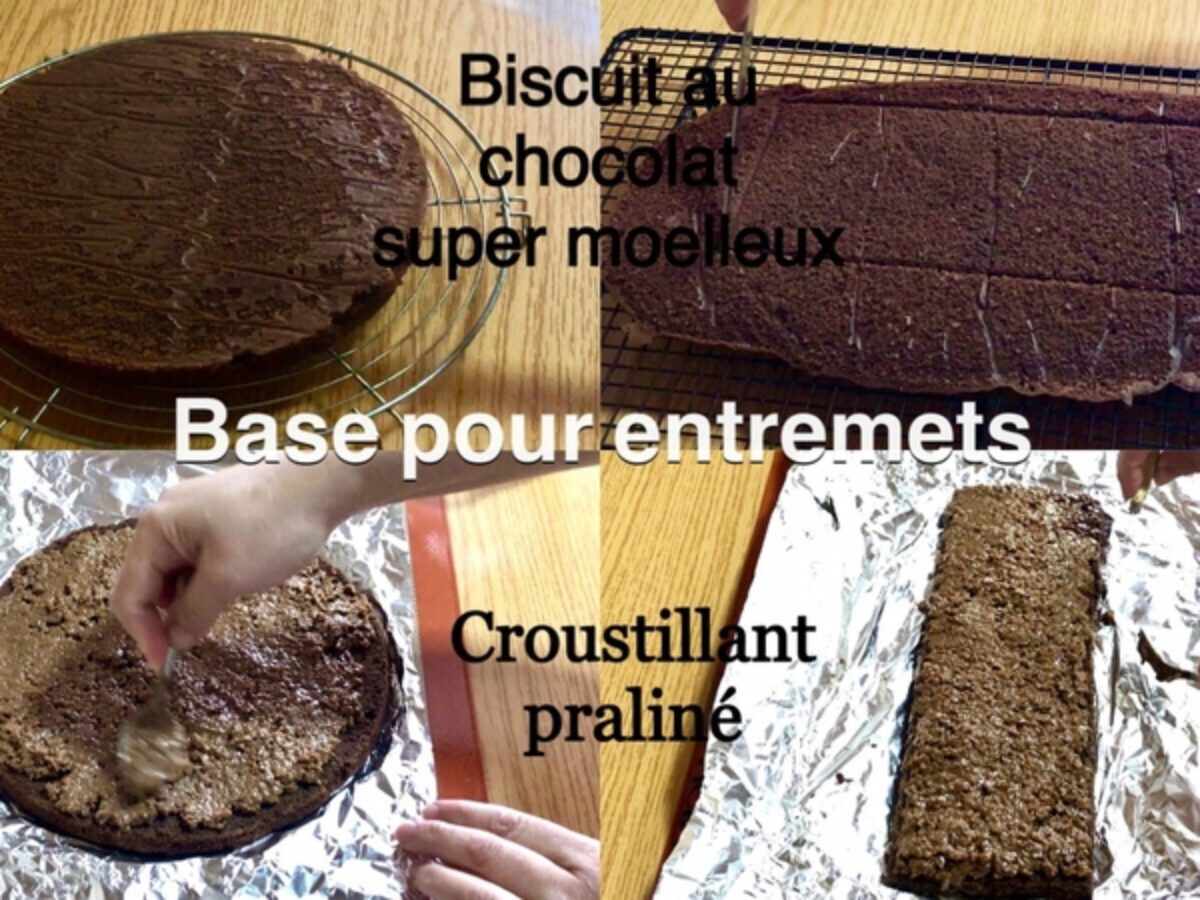Biscuit Moelleux Au Chocolat Et Croustillant Praline Gateau Et Cuisine Rachida