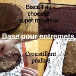 biscuit moelleux au chocolat et croustillant praliné