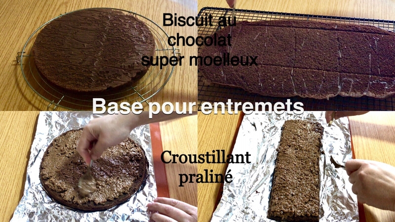 biscuit moelleux au chocolat et croustillant praliné