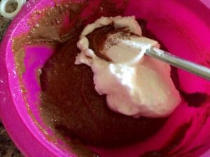 biscuit chocolat noisette
