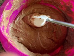biscuit chocolat pour entremets