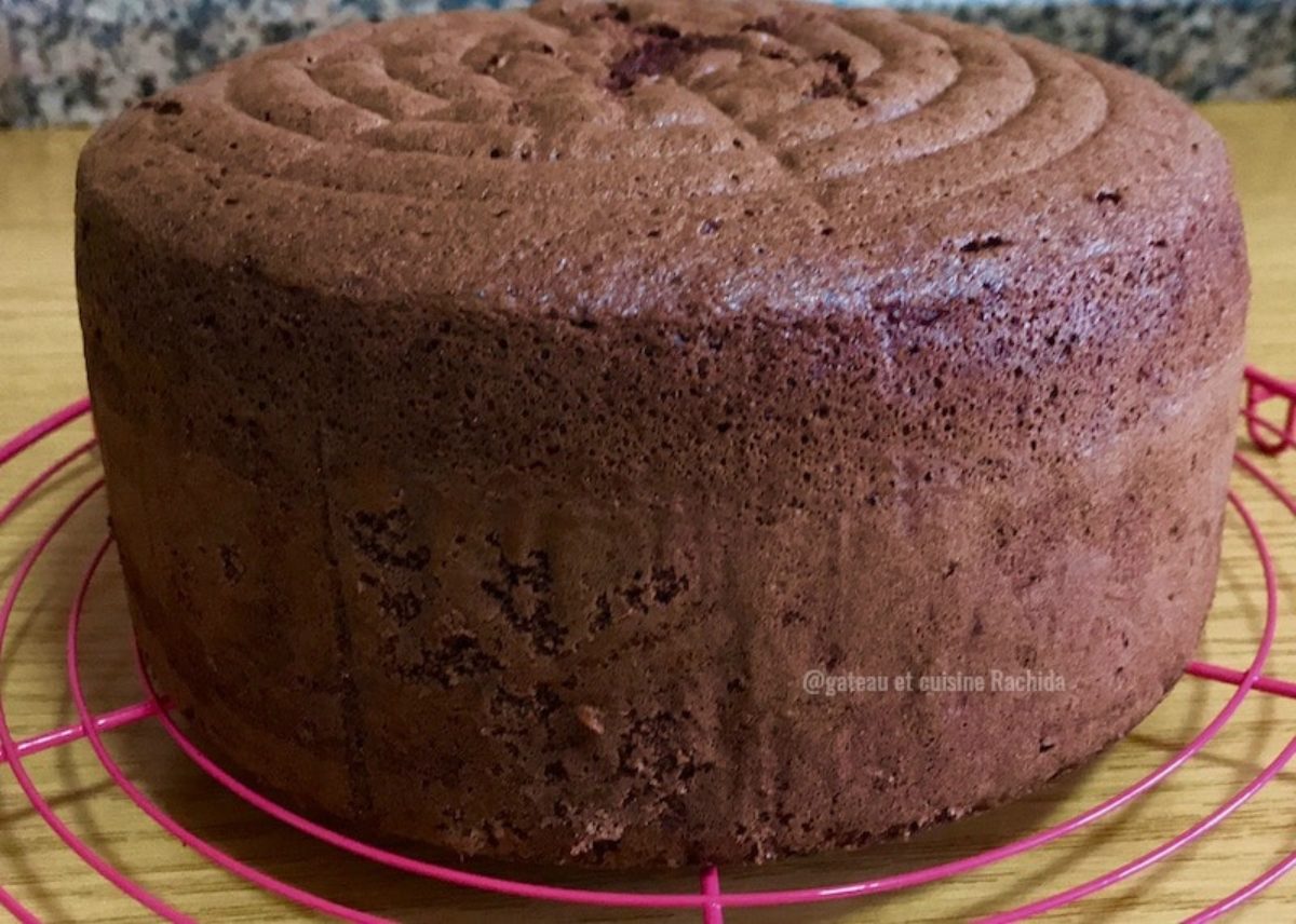 صنف المعدنية فخ Moule Genoise Rectangulaire Amazon Thaiwheelchairsfordogs Com