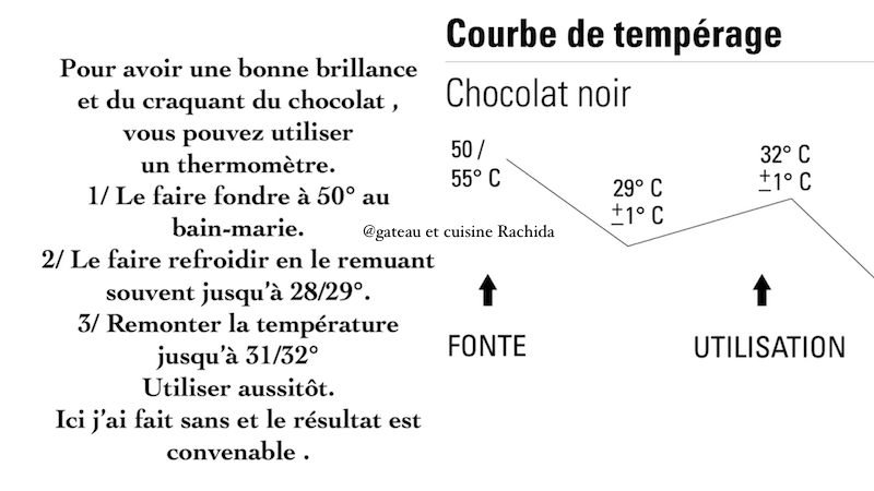 tempérage du chocolat -courbes des température - entremets noisettes praliné