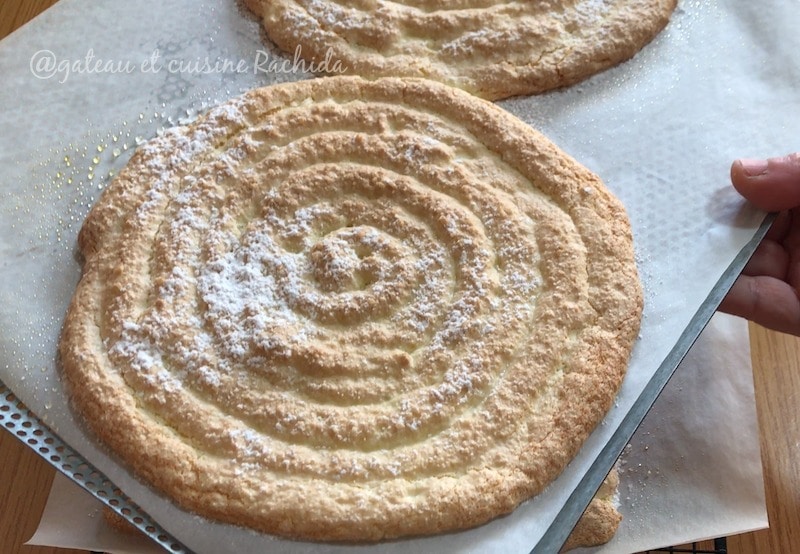 disque biscuit cuillère pour charlotte ,tiramisu ou entremets