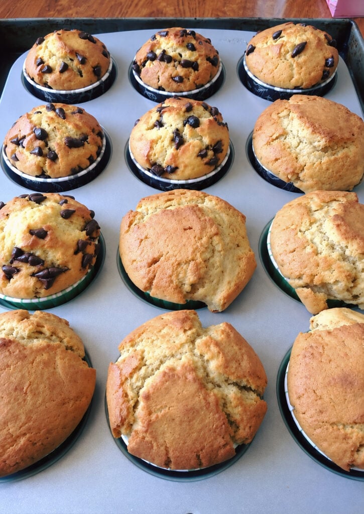 muffins à la sortie du four dans les moules