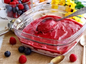 recette sorbet fruits rouges d'été