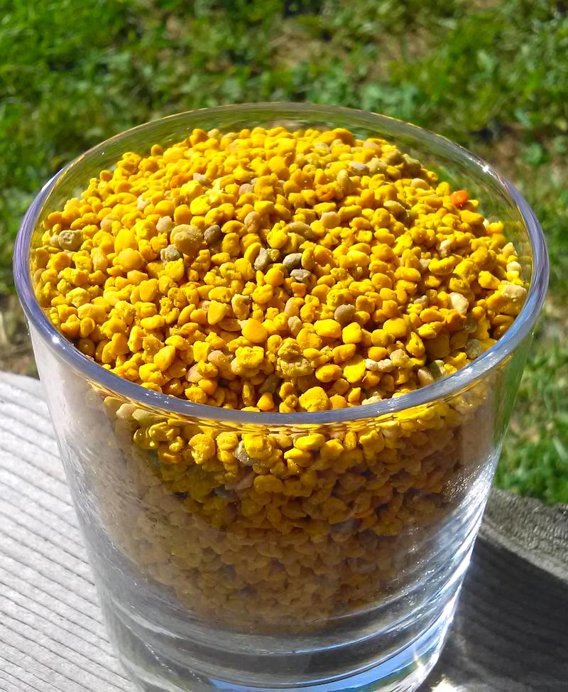 Les pelotes de pollen un super-aliment parfait pour votre