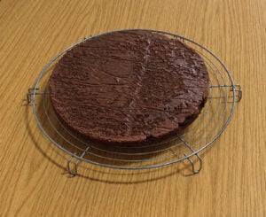 Biscuit moelleux au chocolat cuit coupé au dimension du cercle du montage