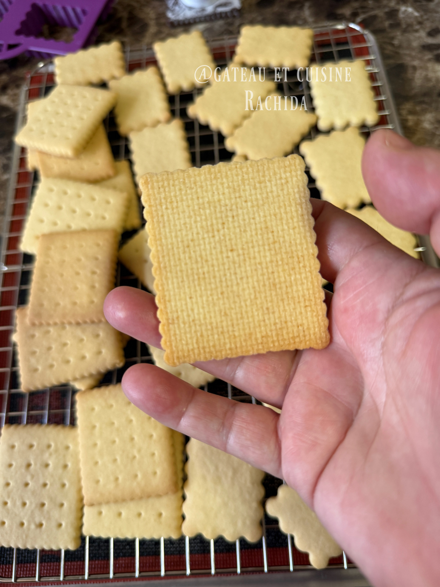 Perfect cut-out sugar cookie dough recipe 